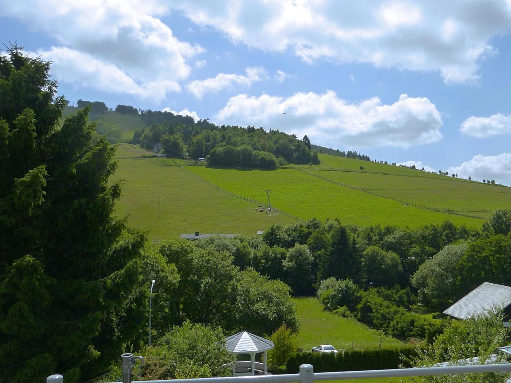 Modern Apartment In Willingen Near Ski Lift المظهر الخارجي الصورة